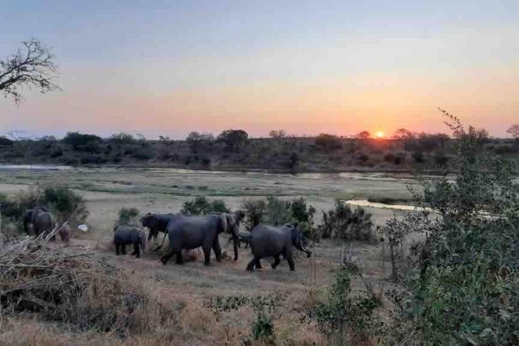 Nokuthula Bush Retreat *