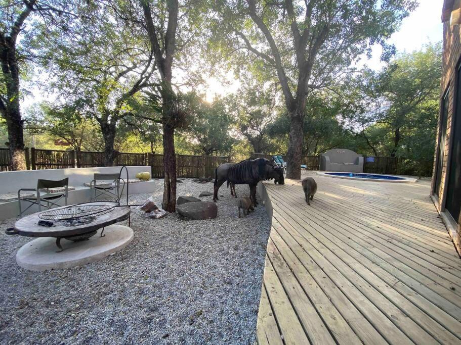 Nokuthula Bush Retreat Vakantiehuis